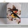 20190501-Carmen Krystyna-R0325-example 03